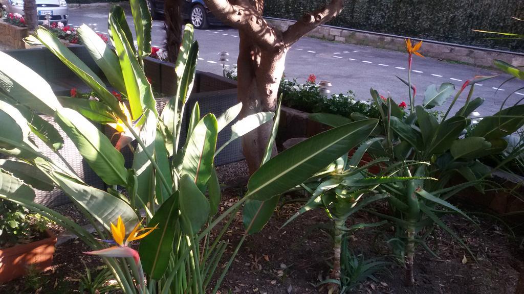 Hotel La Scogliera Bordighera Eksteriør billede